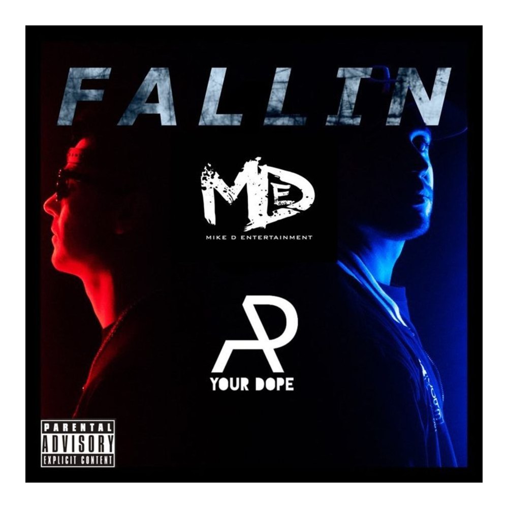 Media distribution listing for Fallin (feat. Apyourdope).