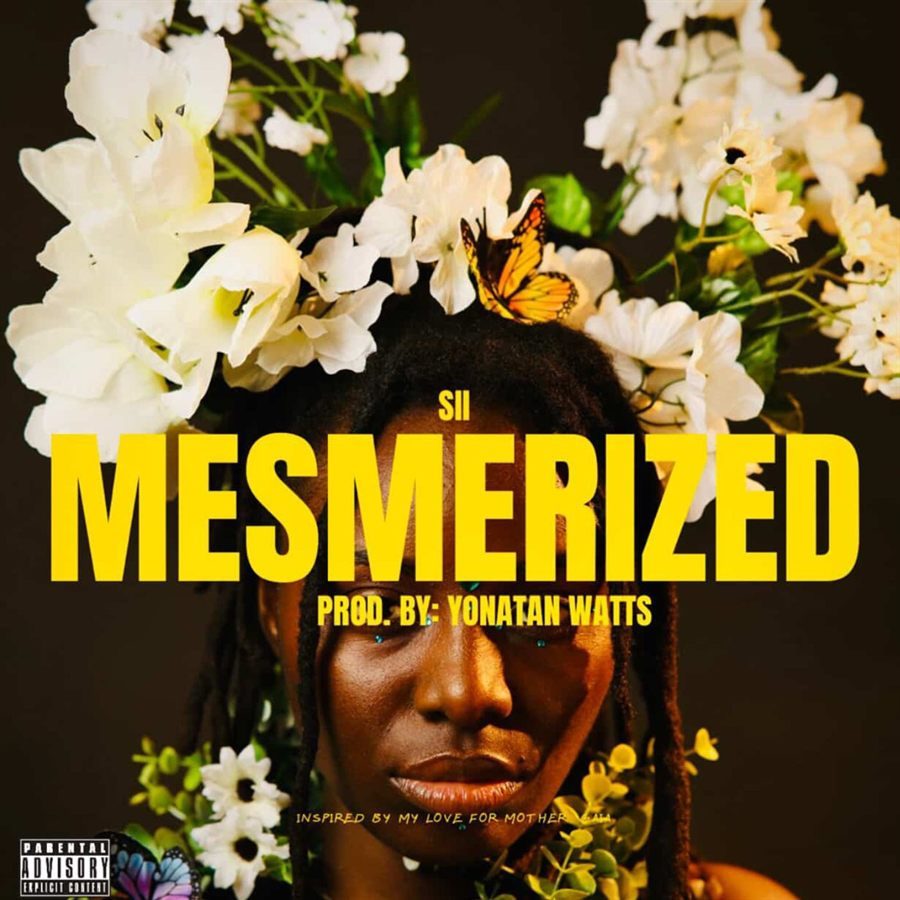 Media distribution listing for Mesmerized.