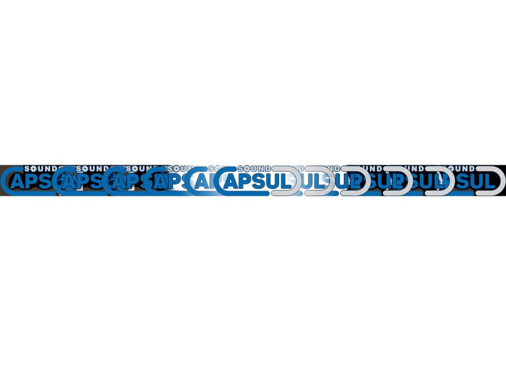 Website project for Sound Capsul.
